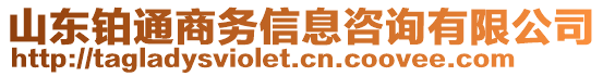 山東鉑通商務(wù)信息咨詢有限公司