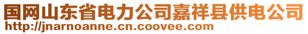 國網山東省電力公司嘉祥縣供電公司