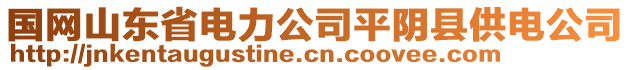 國網(wǎng)山東省電力公司平陰縣供電公司