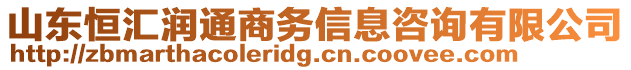 山東恒匯潤通商務(wù)信息咨詢有限公司