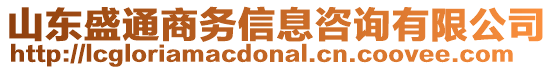 山東盛通商務(wù)信息咨詢有限公司