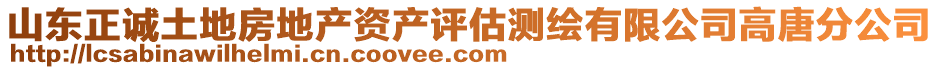 山東正誠土地房地產資產評估測繪有限公司高唐分公司