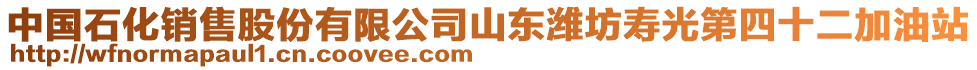 中國石化銷售股份有限公司山東濰坊壽光第四十二加油站