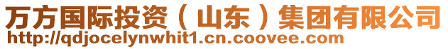 萬(wàn)方國(guó)際投資（山東）集團(tuán)有限公司