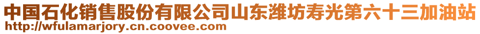 中國(guó)石化銷(xiāo)售股份有限公司山東濰坊壽光第六十三加油站