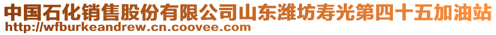 中國石化銷售股份有限公司山東濰坊壽光第四十五加油站