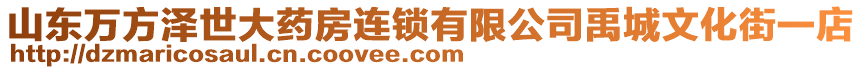 山東萬方澤世大藥房連鎖有限公司禹城文化街一店