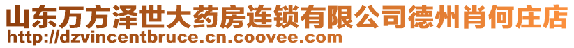 山東萬方澤世大藥房連鎖有限公司德州肖何莊店