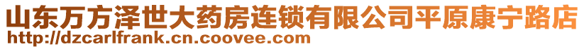 山東萬方澤世大藥房連鎖有限公司平原康寧路店