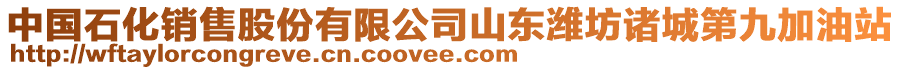 中國(guó)石化銷售股份有限公司山東濰坊諸城第九加油站