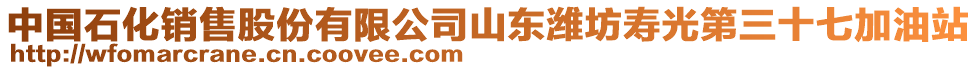 中國石化銷售股份有限公司山東濰坊壽光第三十七加油站