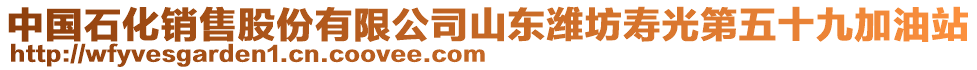 中國石化銷售股份有限公司山東濰坊壽光第五十九加油站