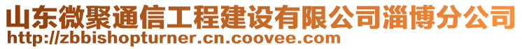 山東微聚通信工程建設(shè)有限公司淄博分公司