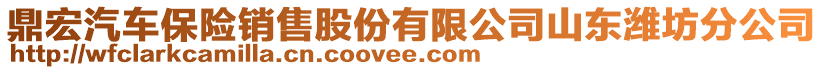 鼎宏汽車保險(xiǎn)銷售股份有限公司山東濰坊分公司