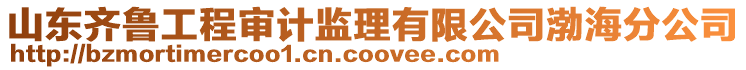 山東齊魯工程審計監理有限公司渤海分公司