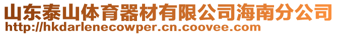 山東泰山體育器材有限公司海南分公司