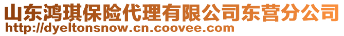 山東鴻琪保險代理有限公司東營分公司