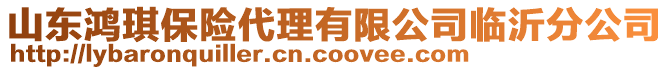 山東鴻琪保險代理有限公司臨沂分公司