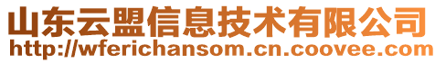 山東云盟信息技術有限公司
