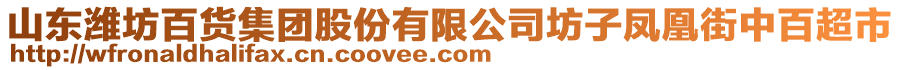 山東濰坊百貨集團(tuán)股份有限公司坊子鳳凰街中百超市