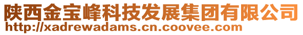 陜西金寶峰科技發(fā)展集團(tuán)有限公司