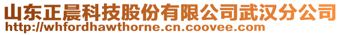 山東正晨科技股份有限公司武漢分公司