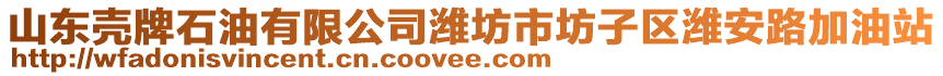 山東殼牌石油有限公司濰坊市坊子區(qū)濰安路加油站