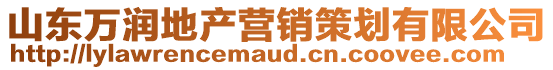 山東萬潤地產營銷策劃有限公司