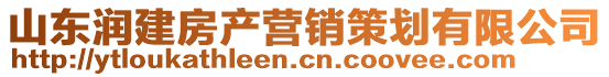 山東潤建房產(chǎn)營銷策劃有限公司