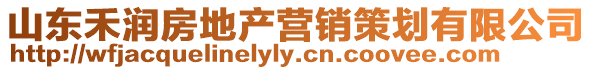 山東禾潤房地產營銷策劃有限公司