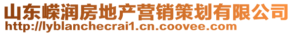 山東嶸潤房地產營銷策劃有限公司