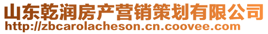 山東乾潤房產(chǎn)營銷策劃有限公司