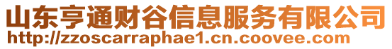 山東亨通財谷信息服務有限公司