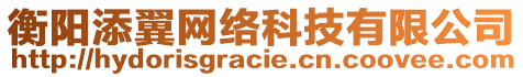 衡陽添翼網(wǎng)絡(luò)科技有限公司