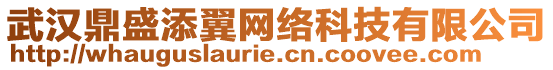 武漢鼎盛添翼網(wǎng)絡(luò)科技有限公司