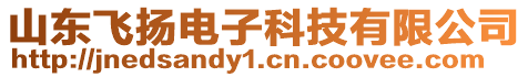 山東飛揚電子科技有限公司