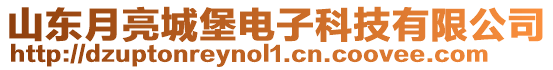 山東月亮城堡電子科技有限公司