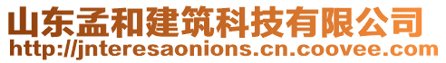 山東孟和建筑科技有限公司