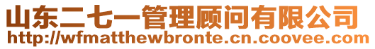 山東二七一管理顧問有限公司