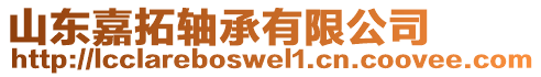 山東嘉拓軸承有限公司