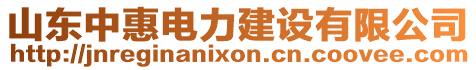 山東中惠電力建設(shè)有限公司