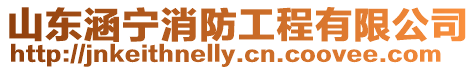 山東涵寧消防工程有限公司