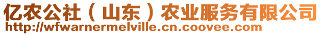 億農(nóng)公社（山東）農(nóng)業(yè)服務(wù)有限公司