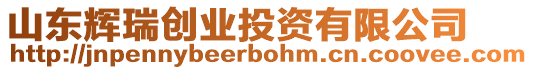 山東輝瑞創(chuàng)業(yè)投資有限公司