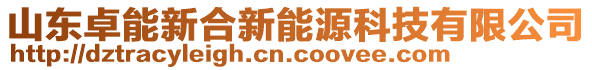 山東卓能新合新能源科技有限公司