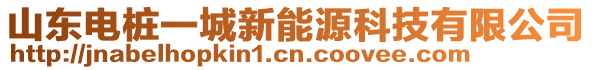 山東電樁一城新能源科技有限公司