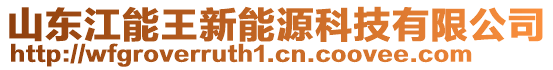 山東江能王新能源科技有限公司