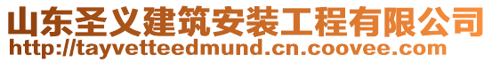 山東圣義建筑安裝工程有限公司