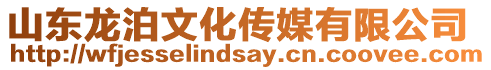 山東龍泊文化傳媒有限公司