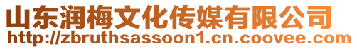 山東潤梅文化傳媒有限公司